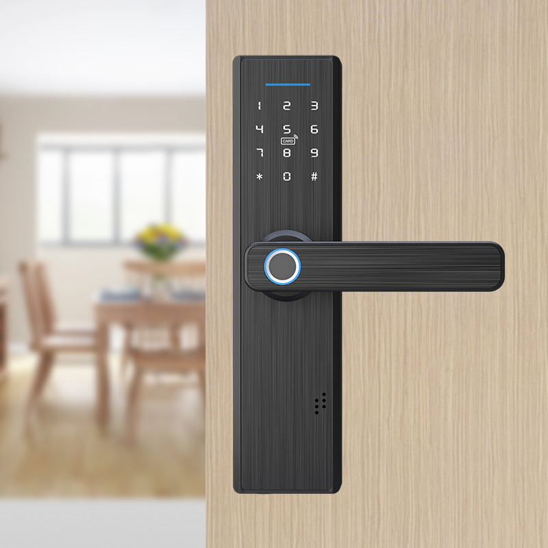 Smart Home Entry Lock